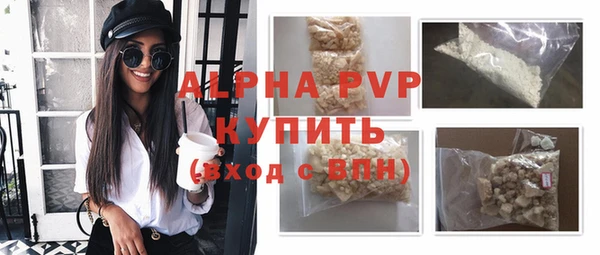 spice Богородицк