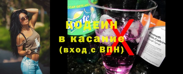 spice Богородицк