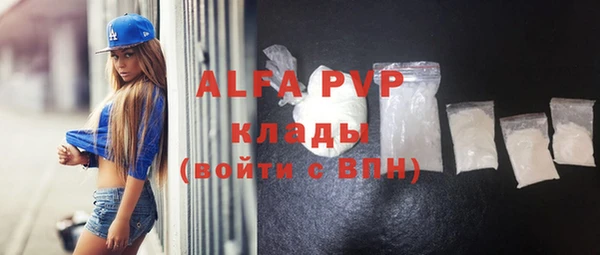 spice Богородицк