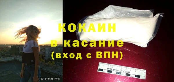 spice Богородицк