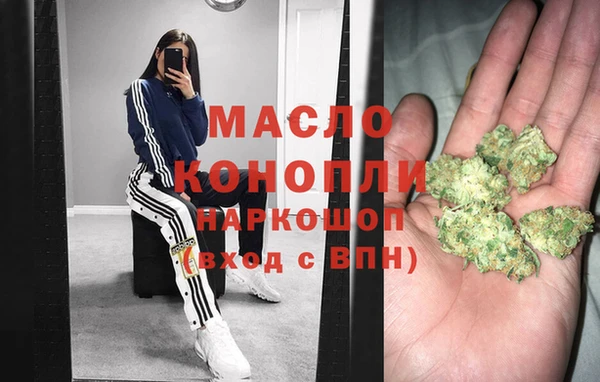 spice Богородицк