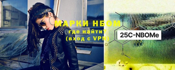 сатива Баксан