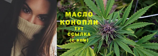 сатива Баксан