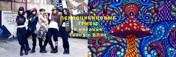сатива Баксан