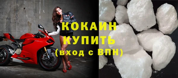 spice Богородицк