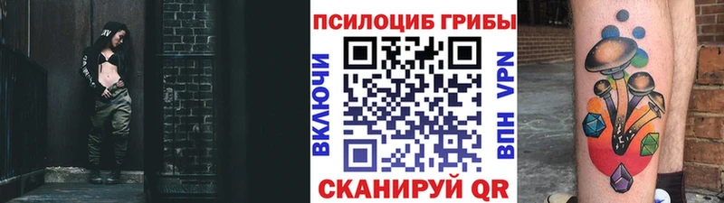 купить   Чайковский  Псилоцибиновые грибы мухоморы 